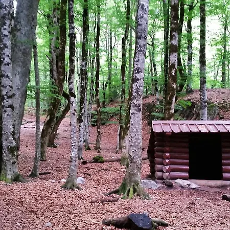 Szálloda Ballarin Torla